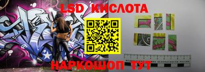 индика Шелехов