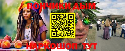 индика Шелехов
