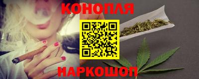 индика Шелехов